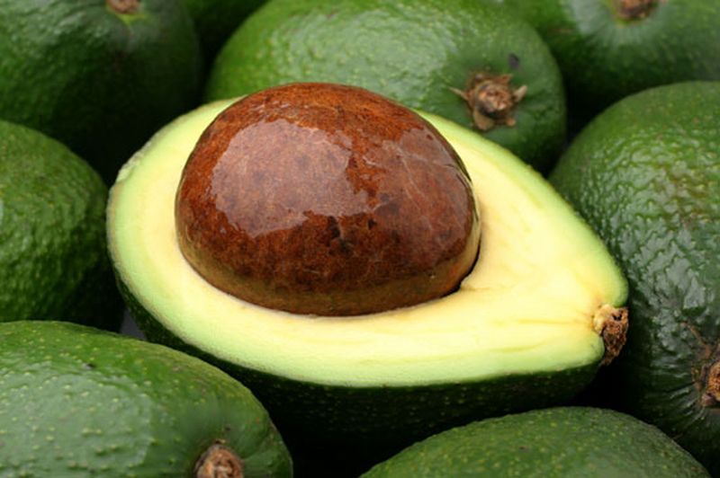 Як легко позбутися від каменів у нирках: Користь від кісточки плоду авокадо