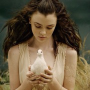 У разі, коли наснилися голуби, яких ви годуєте, радійте, у вашому житті починається світла смуга