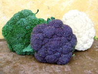 Звичайна кольорова капуста - один з найкорисніших овочів
