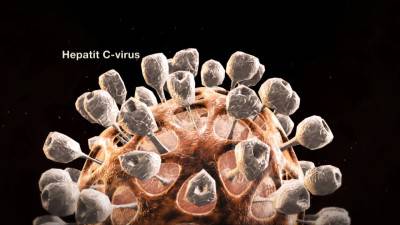 Скільки може прожити вірус гепатиту С при знаходженні в біологічної рідини