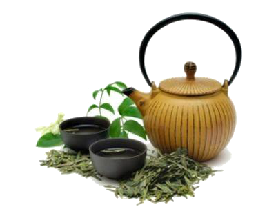 Найбільш важливий компонент обумовлює більшість корисних властивостей чаю зеленого - поліфенол катехін, якого максимально багато саме в чаї зеленому