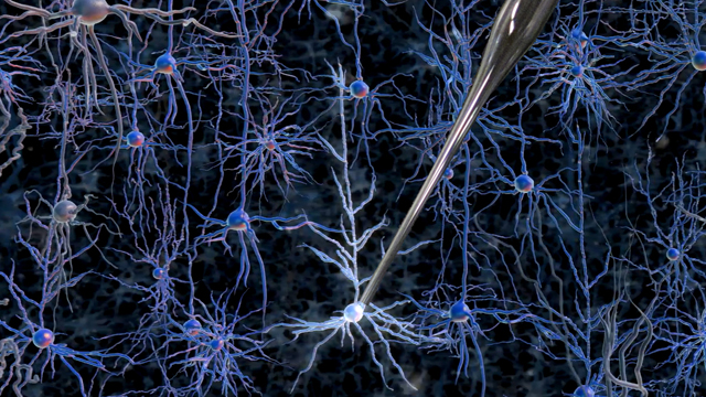 Цельноклеточный зажим включает в себя приведение полой стеклянной пипетки в контакт с клеточной мембраной нейрона