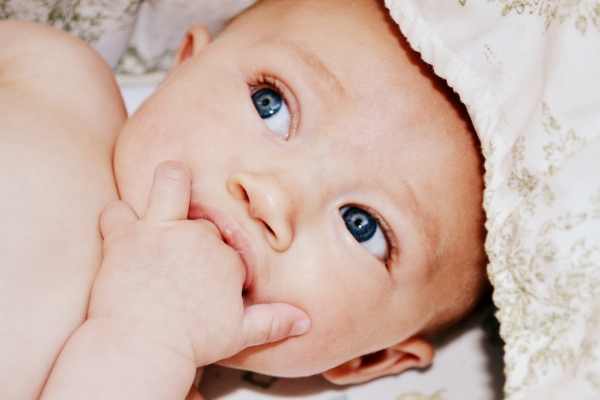 При прорізуванні молочних зубів ясна у дітей набухають, з'являється активне слинотеча, малюки запихають в рот все, що попадається під руку, вередують