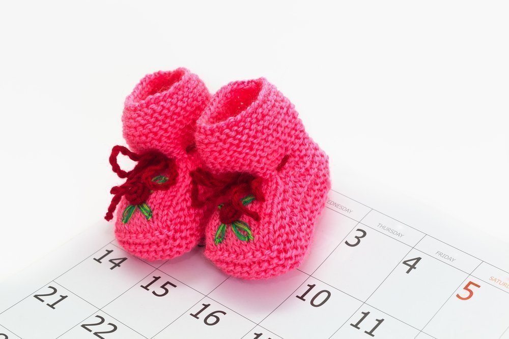 Докладний календар: термін вагітності 13-26 тижнів (другий триместр)