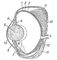 М'язи очі: 1 - м'яз, що піднімає верхню повіку;  2 - верхня косий м'яз;  3 - верхня пряма м'яз;  4 - зовнішня пряма м'яз;  5 - внутрішня пряма м'яз;  6 - зоровий нерв;  7 - нижня пряма м'яз;  8 - нижня косий м'яз