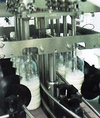 Орієнтатор пляшок - необхідний для ліній великої продуктивності, складається з завантажувального бункера з транспортером для подачі пляшок в орієнтатор, пневмоконвейера для транспортування вирівняних пляшок