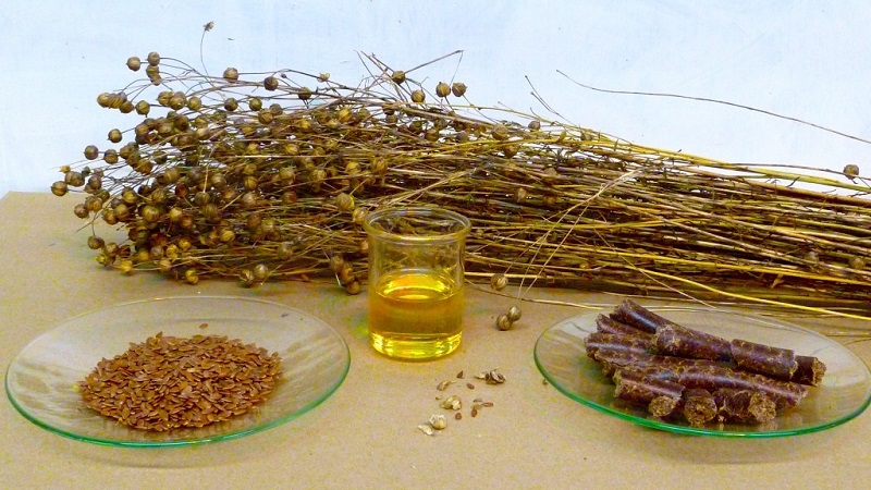 Про цінності масел насіння льону відомо вже кілька століть