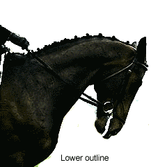 Єдина можливість переконати кінь тримати ніс попереду - це переконати її піти доданим алюром, і цей вид тренування можна проводити вдома, проте між пасажами і зібраним кроком, вам доведеться скручувати кінь, змушуючи її прогинати спину