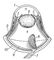 Вертикальний розріз через очну ямку, очне яблуко і віки: 1 - верхня пряма м'яз очі;  2 - м'яз, що піднімає верхню повіку;  3 - лобова пазуха (лобова кістка);  4 - кришталик;  5 - передня камера ока;  6 - рогівка;  7 - верхнє і нижнє повіки;  8 - зіниця;  9 - райдужна оболонка;  10 - циннова зв'язка;  11 - війчасті тіло;  12 - склера;  13 - судинна оболонка;  14 - сітківка;  15 - склоподібне тіло;  16 - зоровий нерв;  17 - нижня пряма м'яз очі