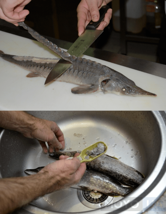 Добре вимиту рибку підсушити паперовими рушниками