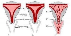 У той час, коли жінка вагітна, менструація відсутня через те, що відбувається повна гормональна перебудова організму