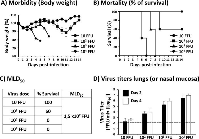 Малюнок 2: представлення даних отриманих в ході оцінки вірусних патогенезу: Для аналізу захворюваності і смертності PR8 WT, 6-в-8-тижневих самок мишей C57BL / 6 (n = 5) були заражених І