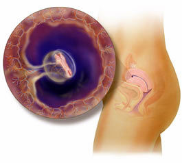 Якщо ви ще не встали на облік в жіночу клініку, обов'язково зробіть це, не залежно як ви себе почуваєте