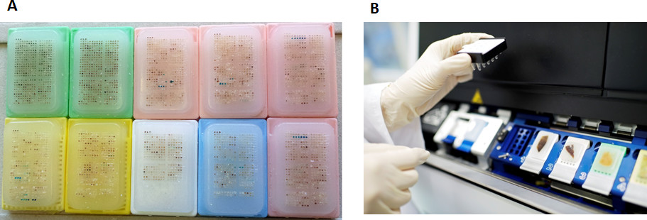 Малюнок 8) Деякі приклади новостворених ngTMA блоків