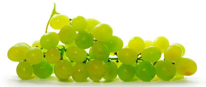 причини алергії   на виноград - найрізноманітніші чинники