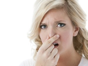 У фізіологічних виділеннях не можуть бути присутніми: