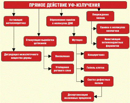 Що ж ламається у внутрішньому механізмі шкідливих організмів при впливі ультрафіолетового опромінювання широкого спектру