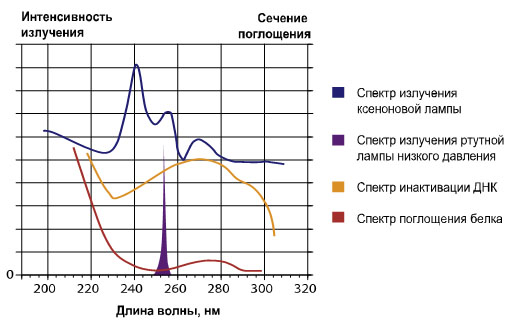 Вплив ультрафіолетового лікування довжиною хвилі 254 нм на ДНК і РНК