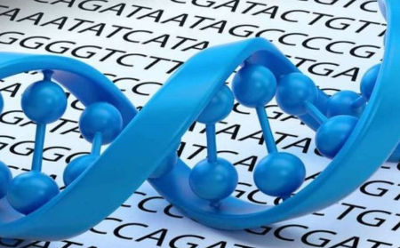 Низький ХГЧ при вагітності на ранніх термінах говорить про наступних станах: