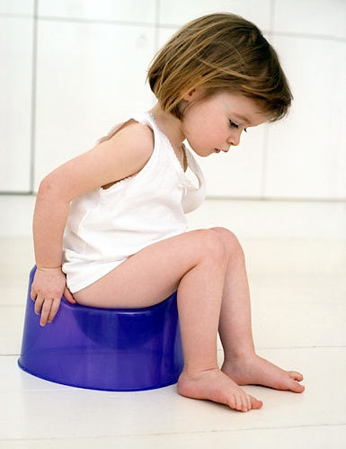 усвідомлювати сам факт (момент) сечовипускання і дефекації і розрізняти стан «мокрий» - «сухий»   відчувати роботу сфінктерів і «ловити» момент позиву безпосередньо перед тим, як сходити в туалет (але не обов'язково ще бігти на горщик в цей момент)   подавати знаки дорослому перед туалетом і терпіти до тих пір, поки дорослий не запропонує «висадити» дитини   і, нарешті, самостійно справлятися зі своїми природними потребами і вдень, і вночі під час сну »