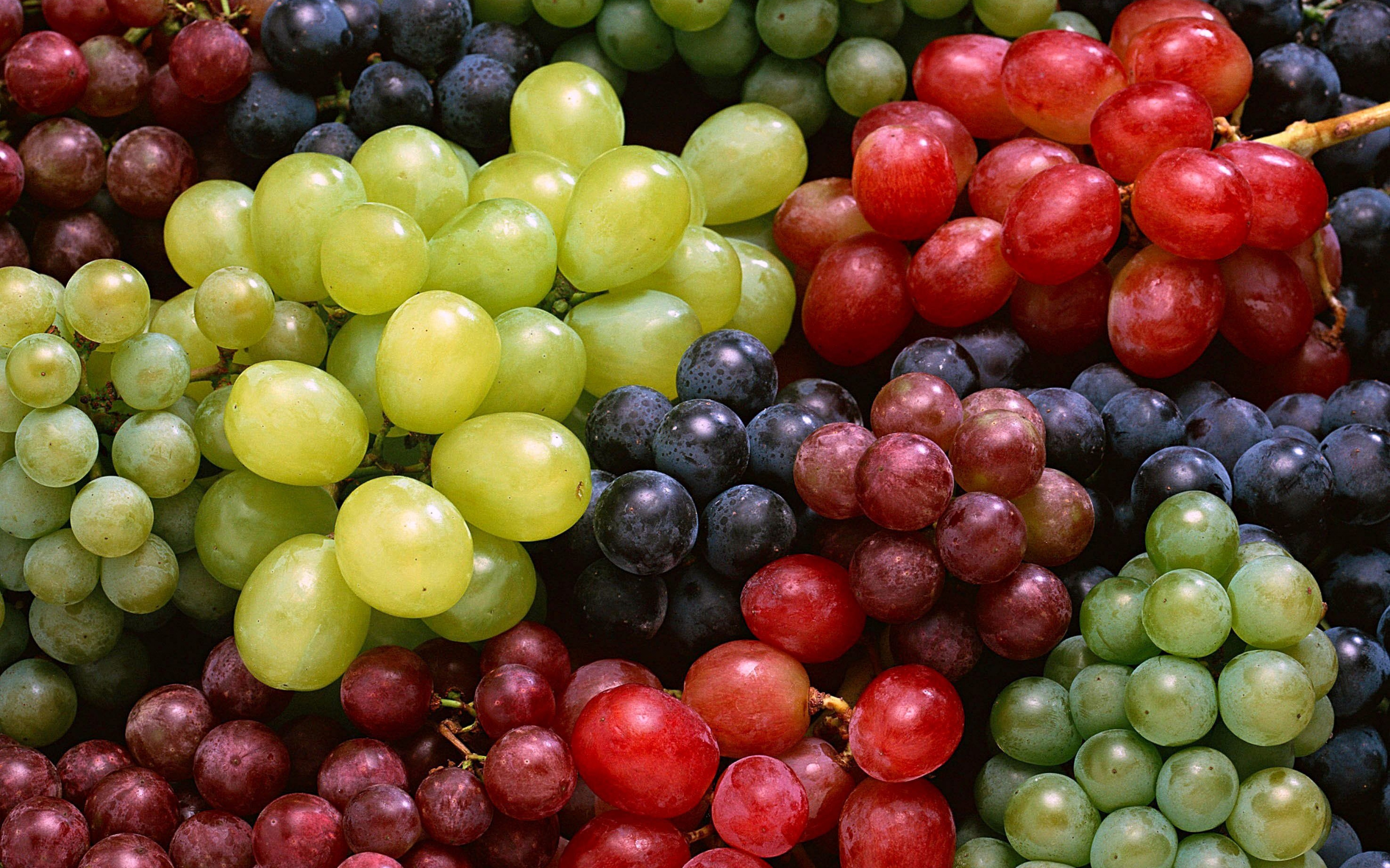 Вибираючи виноград, слід уважно оглядати ягоди: вони повинні бути щільними, блискучими, сухими і без пошкоджень