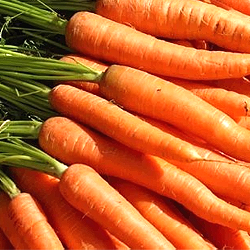 Необхідно правильно ставитися до небилицям і фактами, щоб не стати жертвою неправдивої інформації про здоров'я