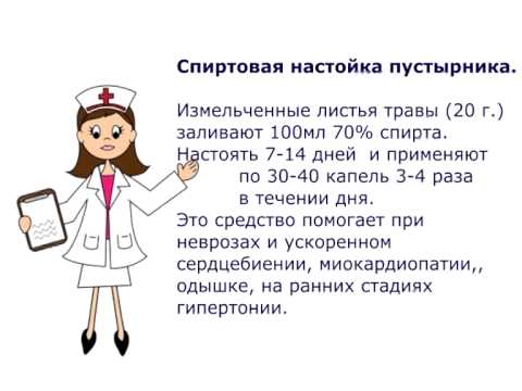 Настоянка собачої кропиви інструкція із застосування рецептів лікування