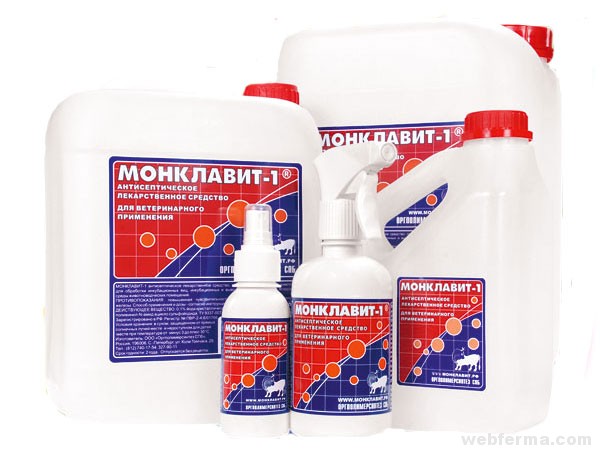 При хронічному бронхіті курчатам дають антибіотики широкого спектру дії, проводять аерозольні обробки в присутності птиці антисептичними засобами: йодтріетіленгліколь, однохлористого йод, Монклавіт, АСД-2, Екоцид