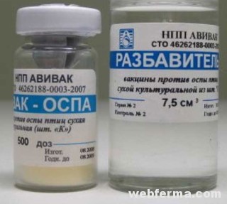 Для профілактики бактеріальних інфекцій дають антибіотики