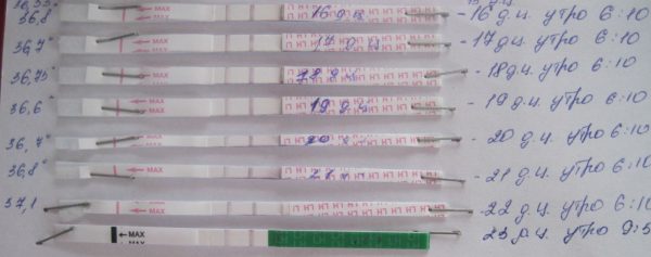 Ознакою вагітності, що завмерла можна вважати негативний результат тесту