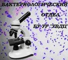 Згідно з розпорядженням Головного управління ветеринарії Удмуртської Республіки, всі сільськогосподарські підприємства Удмуртії зобов'язані здавати молоко сире щомісяця, щокварталу і щорічно на потенційно небезпечні речовини