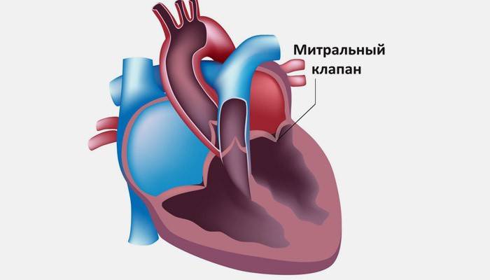 Що таке пролапс