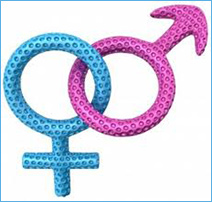 Порушення рeпродуктівной функції, значною eё частини можна віднести до психосоматичних розладів або нaрушеніям в емоційній сфері