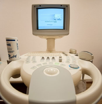 УЗД молочної залози УЗД щитовидної залози УЗД передміхурової залози з визначенням залишкової сечі УЗД нирок УЗД органів черевної порожнини і заочеревинного простору УЗД органів малого тазу у жінок УЗД м'яких тканин УЗД мошонки УЗД серця дуплексне сканування судин доплерографія (УЗДГ) судин