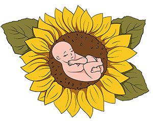 За розмірами крихітку можна порівняти з невеликим соняшником, малюк такий же сонячний, як ця квітка
