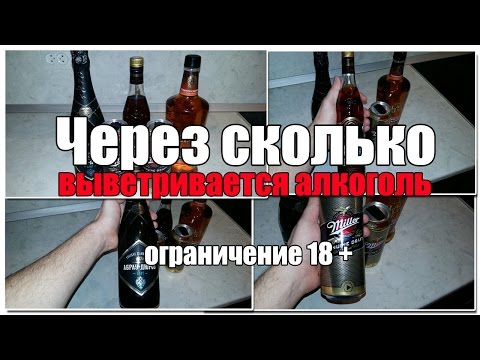 Із застосуванням алкотестера вмілі користувачі проводять дослідження з метою визначення терміну виведення алкоголю з крові