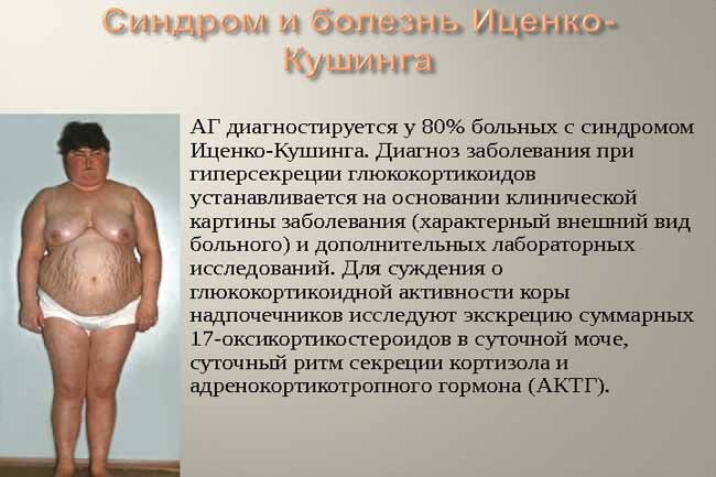 Основні патології