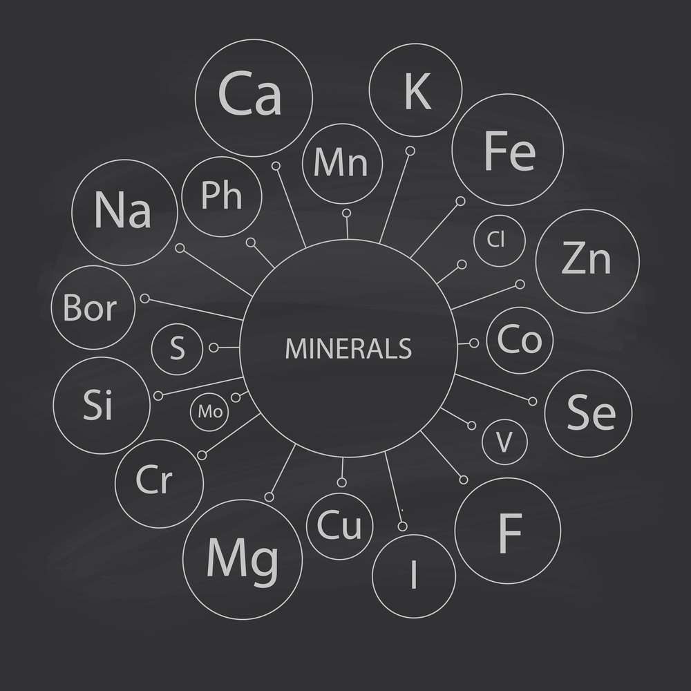 Проходя анализ живого носителя, мы находим в нем такие товары как: медь, марганец, цинк, селен, алюминий, бор, калий, кремний, железо, кальций