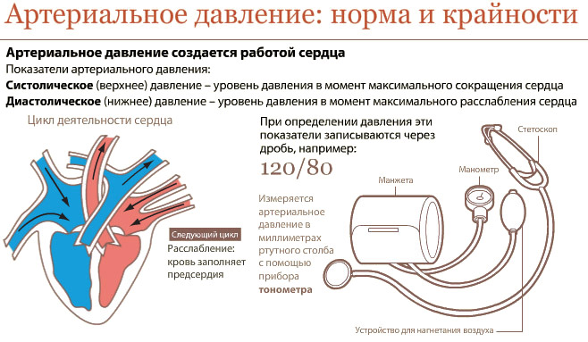 Та й люди всі різні, тому в розумних межах кров'яний тиск все-таки відхиляється