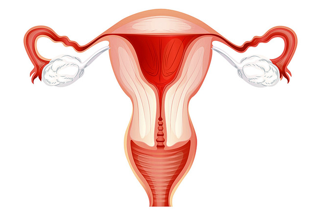 Неможливість пройти по просвіту труби, як для сперматозоїдів, так і для яйцеклітини говорить про непрохідність труб - патології в роботі органу, яка може призводити до складнощів з настанням вагітності