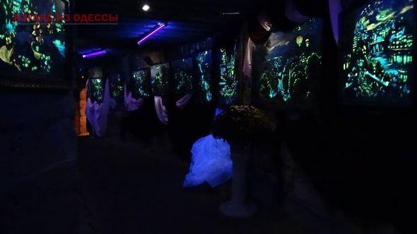 У ній представлені 35 робіт відомих місцевих художників, написаних спеціальними нечутливими до дії вологи фарбами, які світяться в темряві