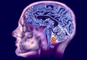 Є кілька типів патологічних змін в головному мозку, в залежності від причин