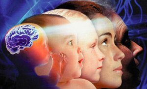 До народження існує лише один пріоритет: захист розвитку мозку «в матці», бо серед поступово бере гору над генетичними факторами