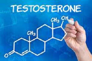 Функції тестостерону в жіночому організмі