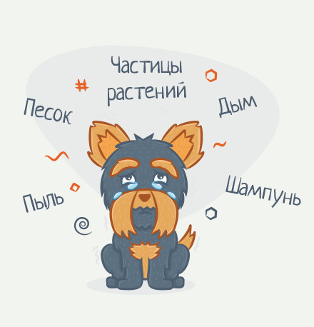 Первинні причини - це зовнішні впливи безпосередньо на око тварини