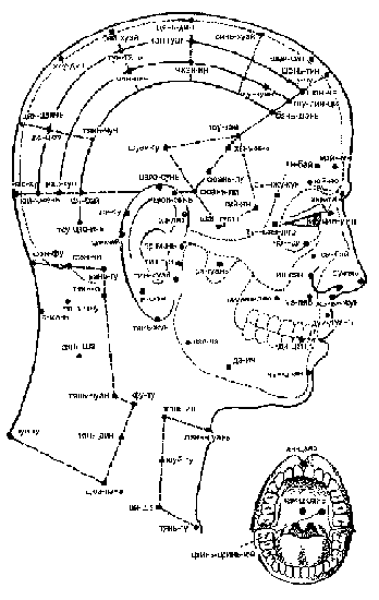 70);   - в області лопатки - цзянь-юй, цзянь-цзін, тянь-цзун, цзянь-чжун-шу, цзянь-вай-шу (при захворюванні потиличної і плечолопаткових областей, травмах шийного сплетення, зниженні артеріального тиску, неврастенії, захворюваннях легенів, плеври , при болю в печінці, міжреберної невралгії, біль у плечі, передпліччя, головного болю, а також шумі в вухах);   - в області спини - по середньої лінії, все сегментарні точки - так-чжуй, тао-дао (при захворюваннях ЦНС, органів дихання і серцево-судинної системи);   шень-дао, лин-тай (при міжреберної невралгії, бронхіальній астмі, бронхіті);  хв-мень (при шлунково-кишкових захворюваннях і хворобах сечостатевих органів);   точки в крижової і куприкової областях (при захворюваннях і травмах сечостатевої системи, прямої кишки);   - по 1-й бічної лінії спини - фей-шу, синь-шу, ге-шу, гань-шу, дань-шу, пі-шу, вей-шу, Шень-шу, так-чан-шу, сяо-чан -шу, пан-гуан-шу і всі крапки області