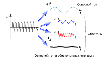 Сукупність обертонів в голосах різних людей хоч трохи, але відрізняється, це і визначає тембр конкретного голосу