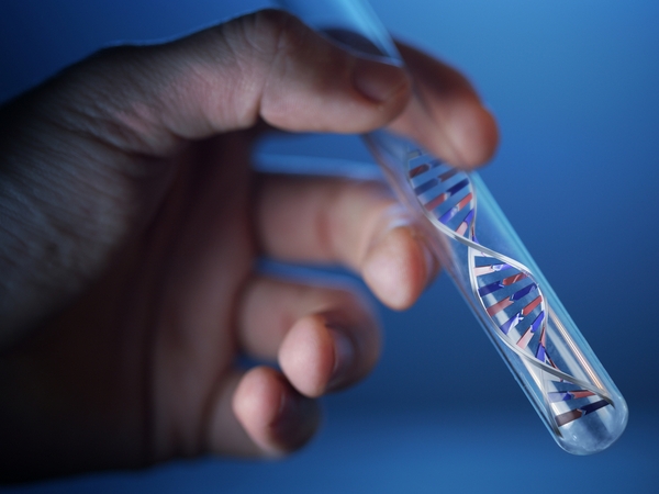 З різних причин деякі люди роблять тест на батьківство, для чого необхідно пройти генетичне обстеження і здати відповідні аналізи