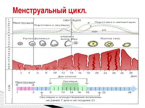 Найчастіше про те, що «це була вона» стає зрозуміло вже постфактум, іноді - навіть після закінчення циклу