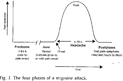 Вважається, що клінічні прояви мігрені складаються з 4 різних фаз, більшість з яких непомітно переходять одна в іншу протягом усього нападу або атаки: продрома, аура, головний біль (протягом якої проявляються асоційовані симптоми) і відновлювальна фаза (Графік 1)